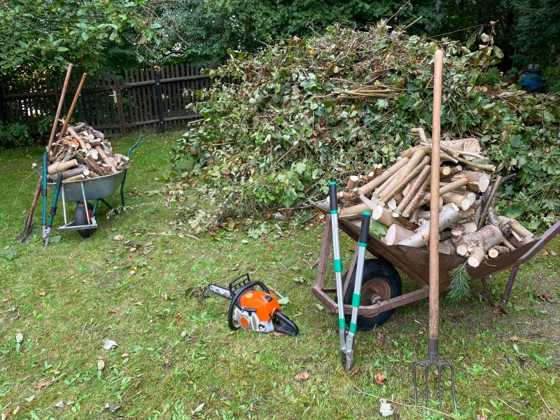 Tree Debris Collection