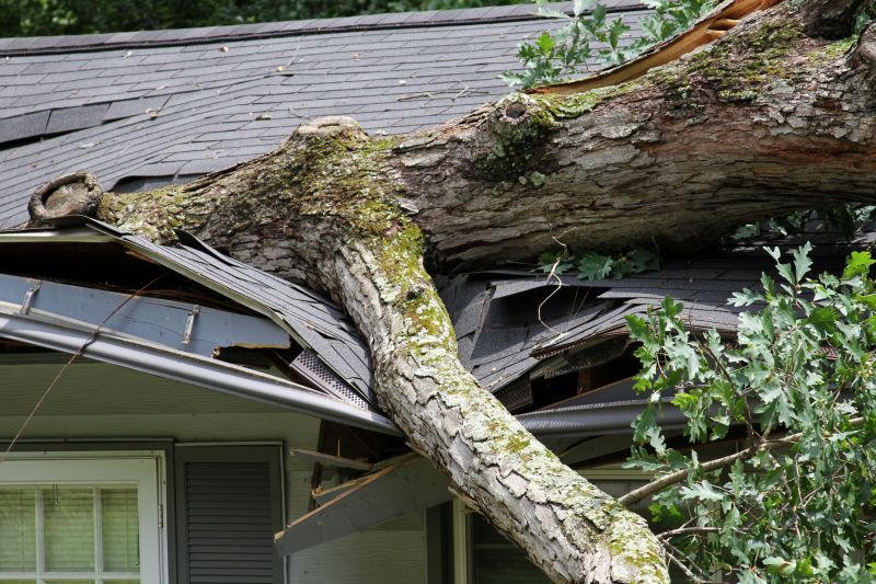Tree on Roof After Storm