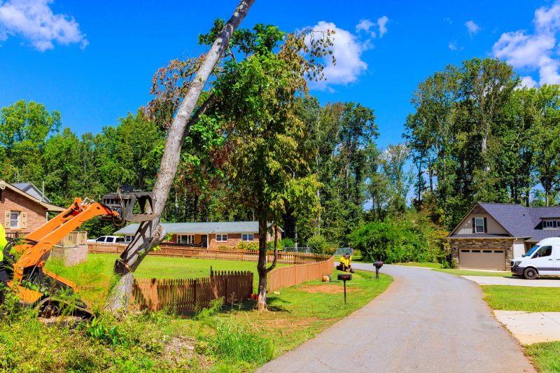 Eco-Friendly Options